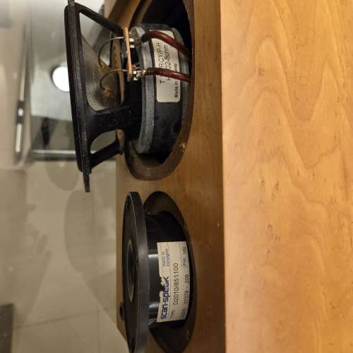 Nelson Audio Image Response 1s 喇叭 clone Proac