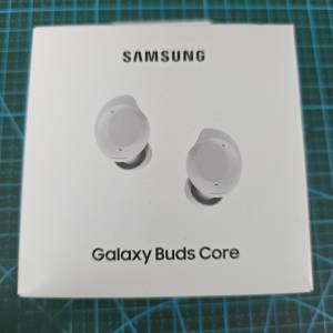Samsung Galaxy Bugs Core
