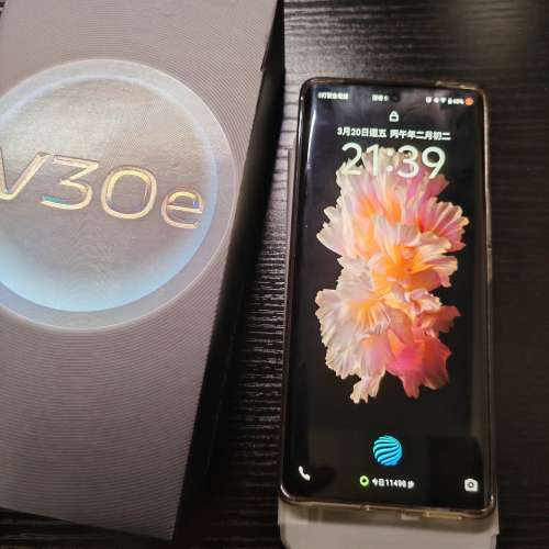 Vivo V30e