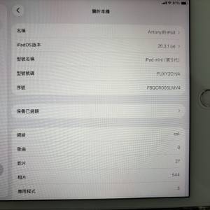 ipad mini5 256GB 超靚畫面 少用 純粹益用家