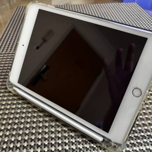 ipad mini5 256GB 超靚畫面 少用 純粹益用家