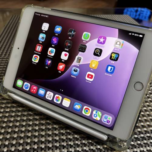 ipad mini5 256GB 超靚畫面 少用 純粹益用家