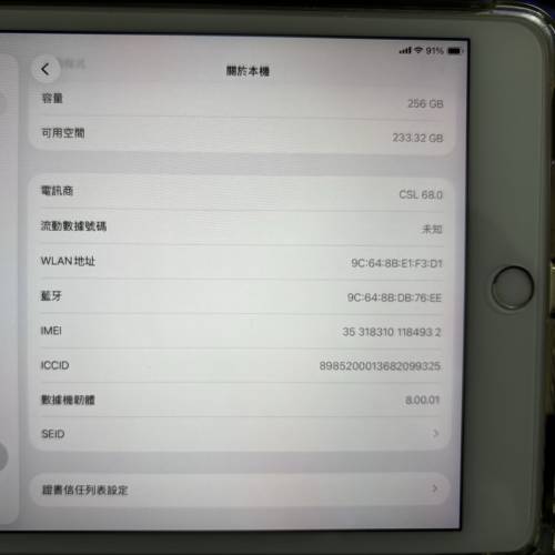 ipad mini5 256GB 超靚畫面 少用 純粹益用家