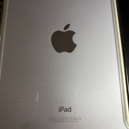 ipad mini5 256GB 超靚畫面 少用 純粹益用家
