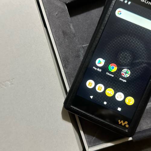 SONY NW-WM1AM2 黑磚2代