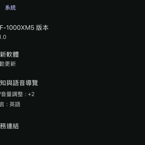 Sony WF-1000XM5 白金銀