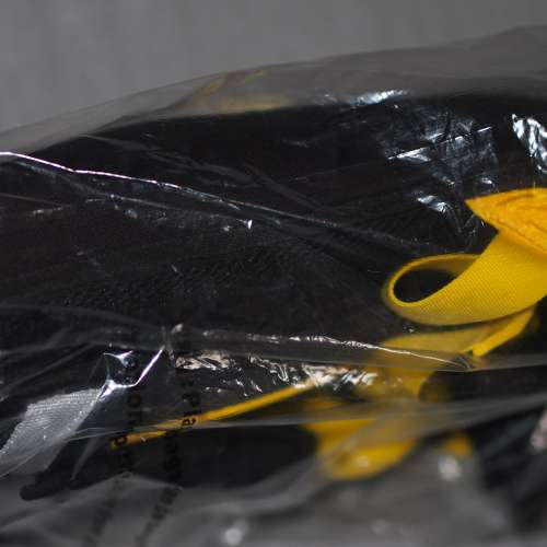 全新NIKON BACKPACK 輕便背囊(黃色)