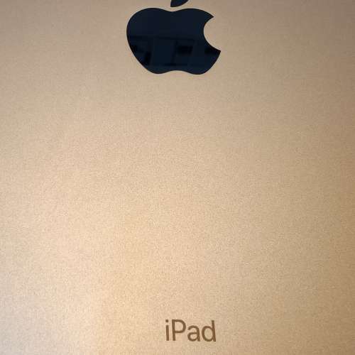 iPad (第 6 代) 金色 128GB