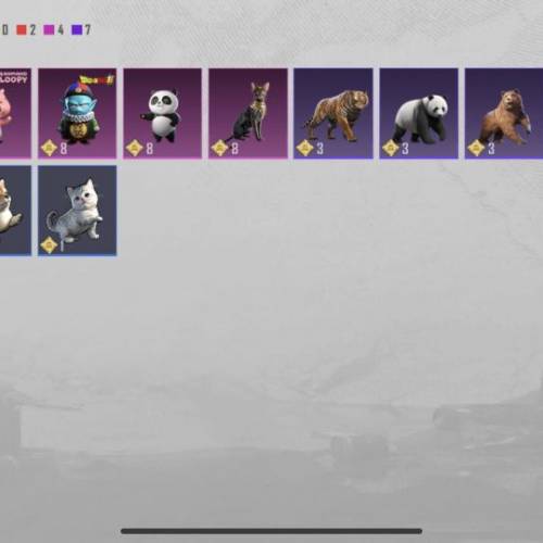 PUBG账号