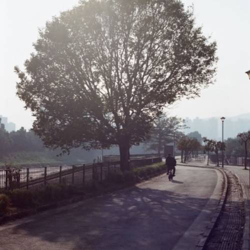 90%新淨📸全黑版 Canon AE-1 Program ＋ New FD 50mm F2