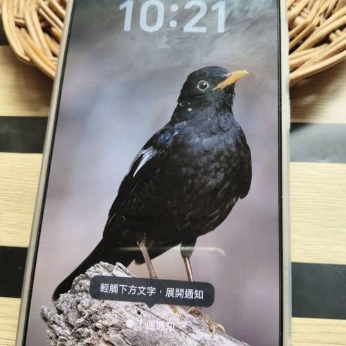 Honor x9d(8300電，200克以下）