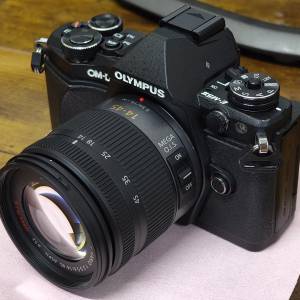 Olympus OM-D E-M5 Mark II 淨機／連Lumix 14-45mm