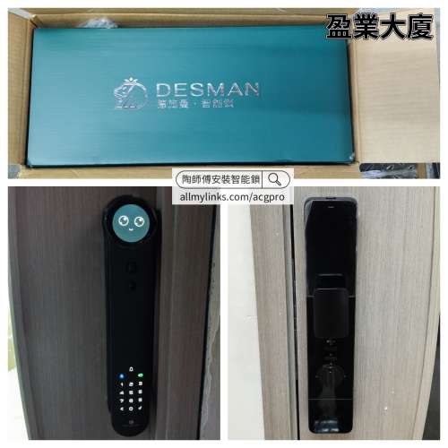 【✨ 香港上門安裝電子鎖】德施曼R9精靈版指紋鎖3D人臉識別智能鎖感應鎖YB
