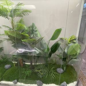 仿真植物群組