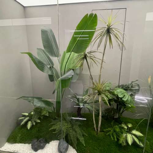 仿真植物群組