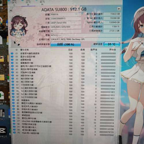 ADATA SU800 512GB