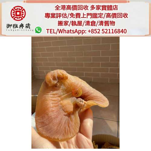 【御雅軒】門店專業鑒定 睇圖報價 上門報價，花膠，舊花膠，陳年花膠，老花膠，燕窩...