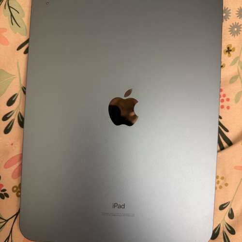 IPAD (第10代)籃色256gb wifi版