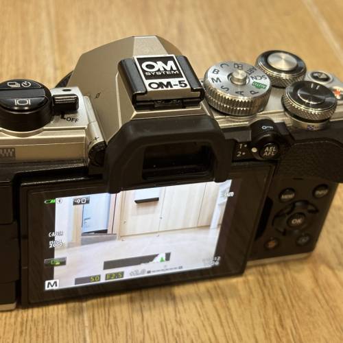 OM-5 (mark 1) + Lumix  14mm  F2.5 + DMW-GFC1 廣角套裝