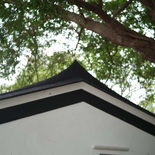 Kern Switar 50 1.8 AR ( M mount )