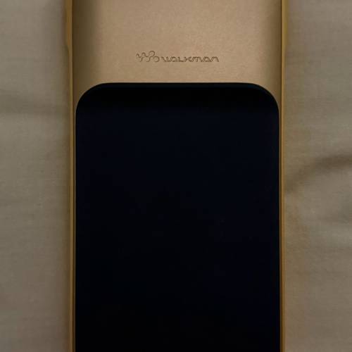 Sony WM1ZM2 金磚二代 金磚2 日版高增益版