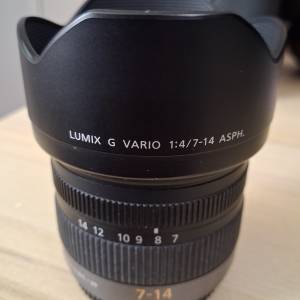 Panasonic Lumix 7-14mm