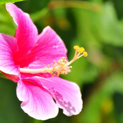 放逾90%新無花無MNO兼少少塵NIKON AF VR 80-400mm 4.5-5.6D鏡=$3200