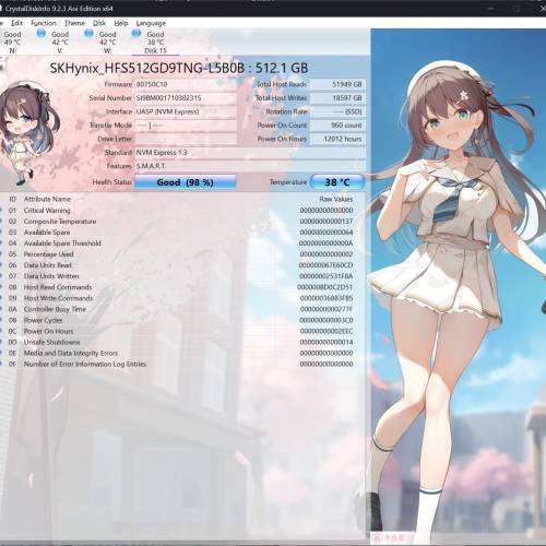 SK Hynix PC601 512GB m.2 nvme PCIE 3.0 SSD