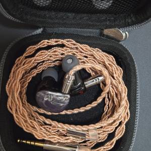 AAW Z02 平板+動圈耳機 $700