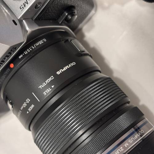 M43 Olympus 奧林巴斯 OM-D E-M5 EM5 連 12-50 lens, FL-LM2 閃光燈