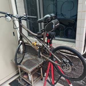 Louis Garneau 的20吋小徑車（Mini Velo）