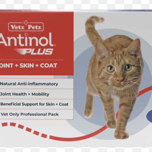 促銷近期Antinol plus for cat