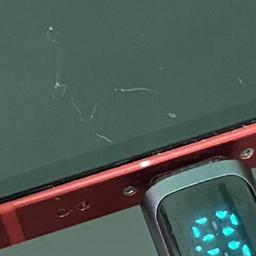 iphone 12mini 256gb美版