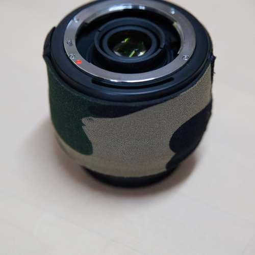 Sigma APO 300mm F2.8 EX DG HSM + APO TELE CONVERTER 2x EX DG for Nikon