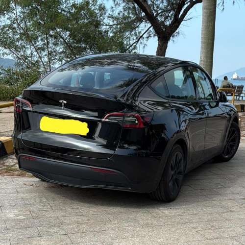 Tesla Model Y RWD