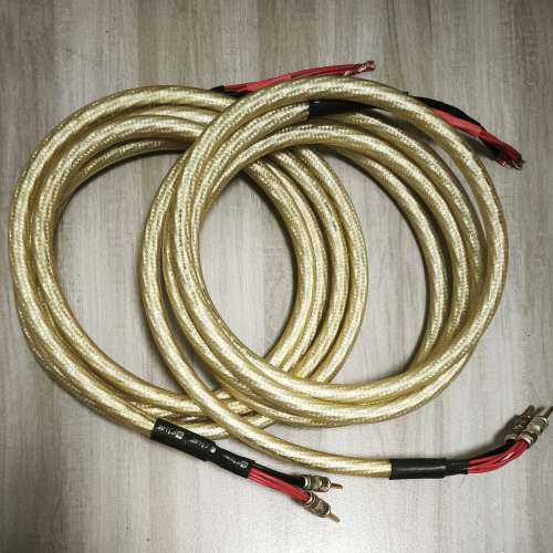 美國 Virtue Audio Nirvana speaker cable