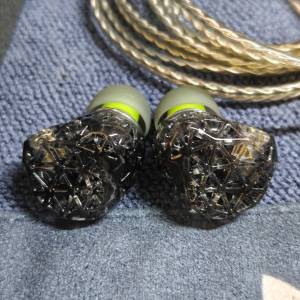 小白菊 MOLO 331