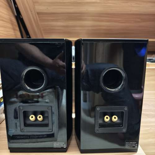 Philips MCD909 喇叭