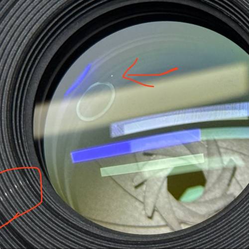 Canon RF 85mm f/2 Macro IS STM