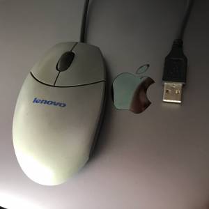 🖱️ LENOVO USB Optical Wired Mouse M-UV55a USED 光學 鼠標 滑鼠 🐭