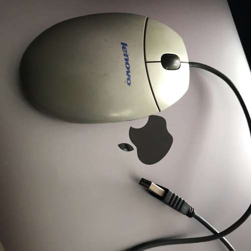 🖱️ LENOVO USB Optical Wired Mouse M-UV55a USED 光學 鼠標 滑鼠 🐭
