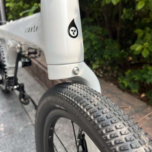 靚價 Lidrop 一叮點 pro版 5速16吋碟剎碳纖維折叠車 送水架前後蛙燈叮叮