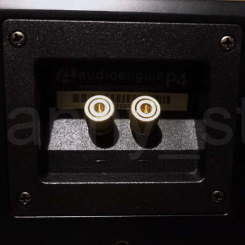 Audioengine P4 被動式書架喇叭 黑色 香港行貨 Passive Speaker Satin Black 媲美 ...