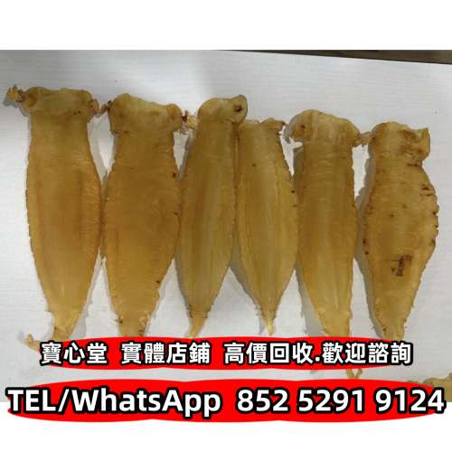 野生金蘭赤嘴母膠，湛江赤嘴公魚膠，台山赤嘴公鰩魚膠，老湛江赤嘴公膠，厚肚赤嘴，...