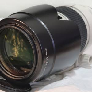 Canon EF 70-200 f2.8L IS