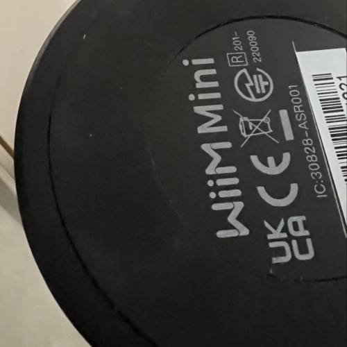 WIIM Mini