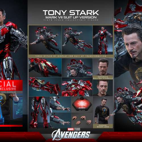 HotToys 會場限量版(小丑(植/膠髮版),黑日,影月,戰蝗號,Mark VII(著甲版)
