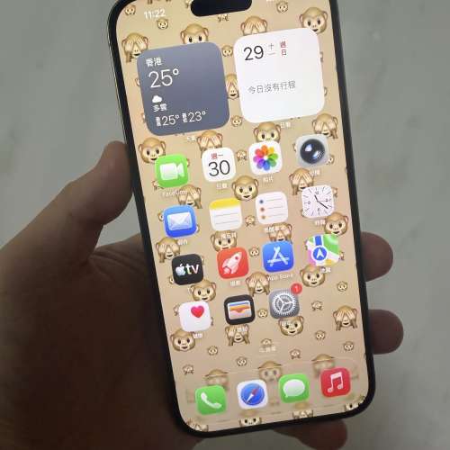 📱iPhone 16 pro max 256GB沙漠金色🔥美版全原裝