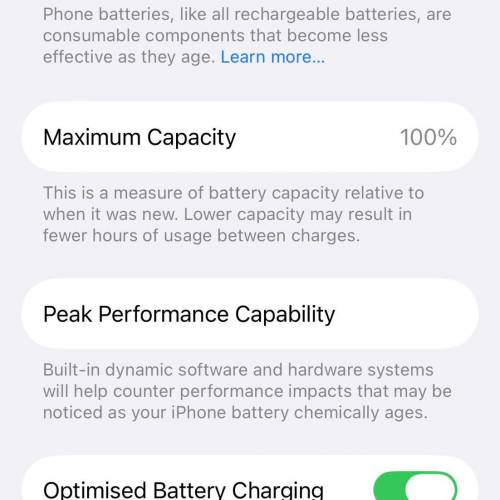 iPhone 13 mini 128 GB 100% 電池壽命
