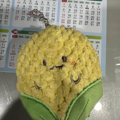 公仔🧸